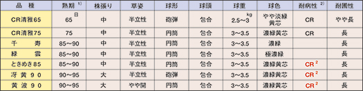 chinesecabbage_tokusei