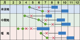 shizuhama2sakugata